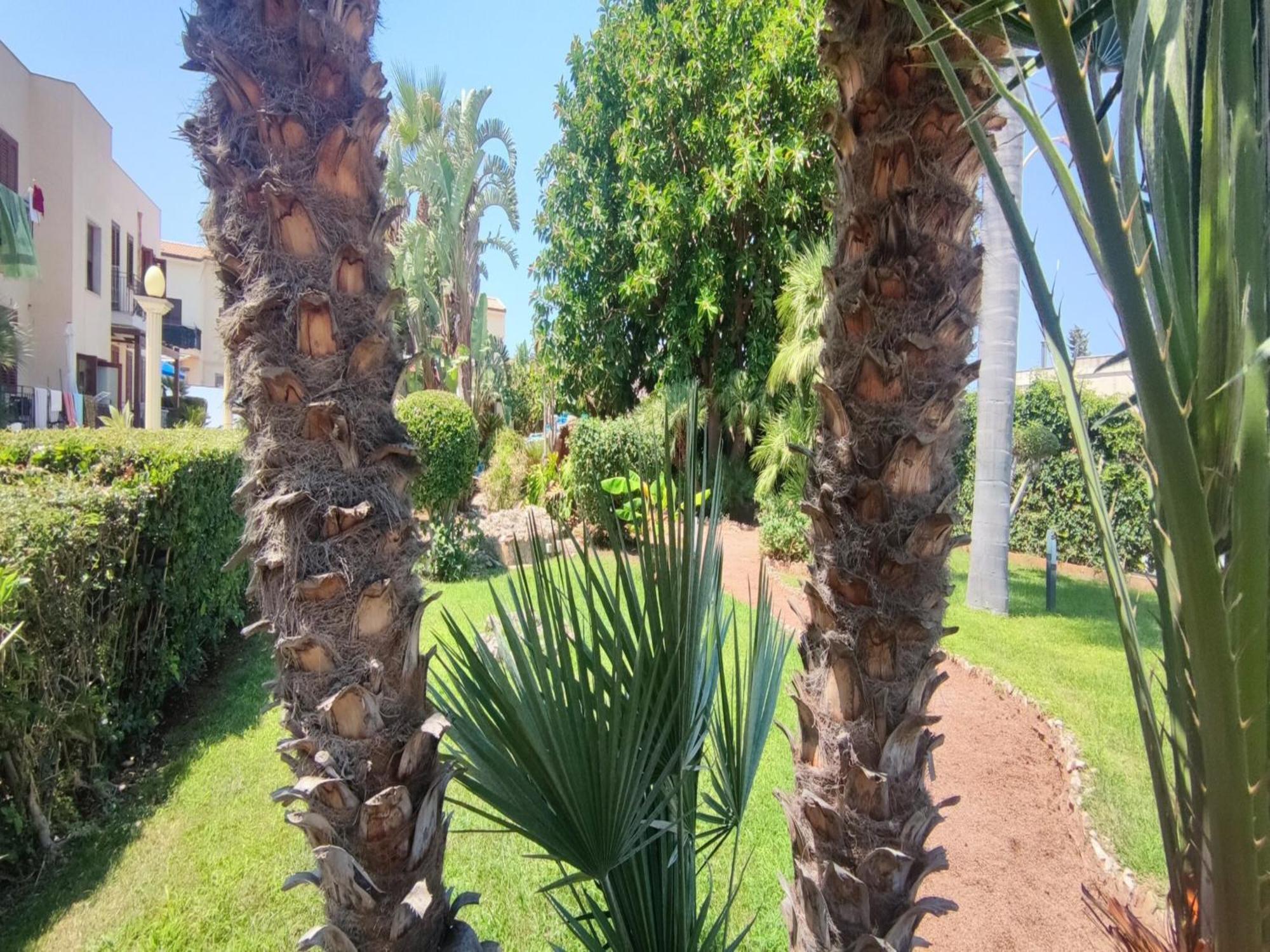 Appartamento Valentina San Vito Lo Capo Exteriér fotografie